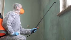 Mold Odor Removal Services in Princeton, MO